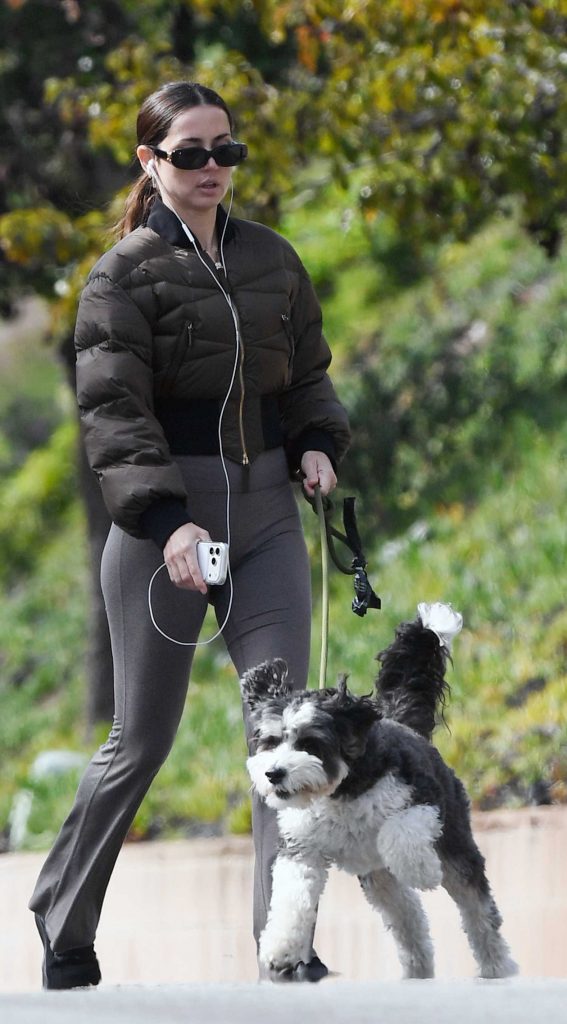 Ana de Armas in a Brown Jacket