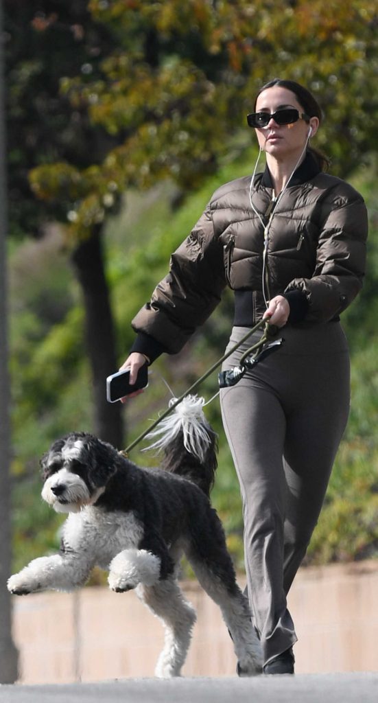 Ana de Armas in a Brown Jacket