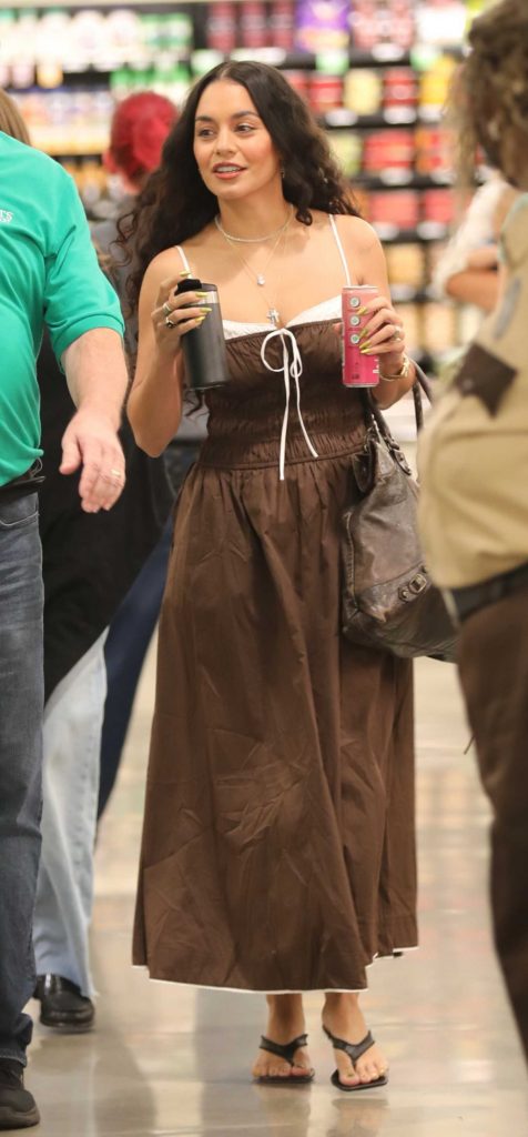 Vanessa Hudgens in a Brown Dress
