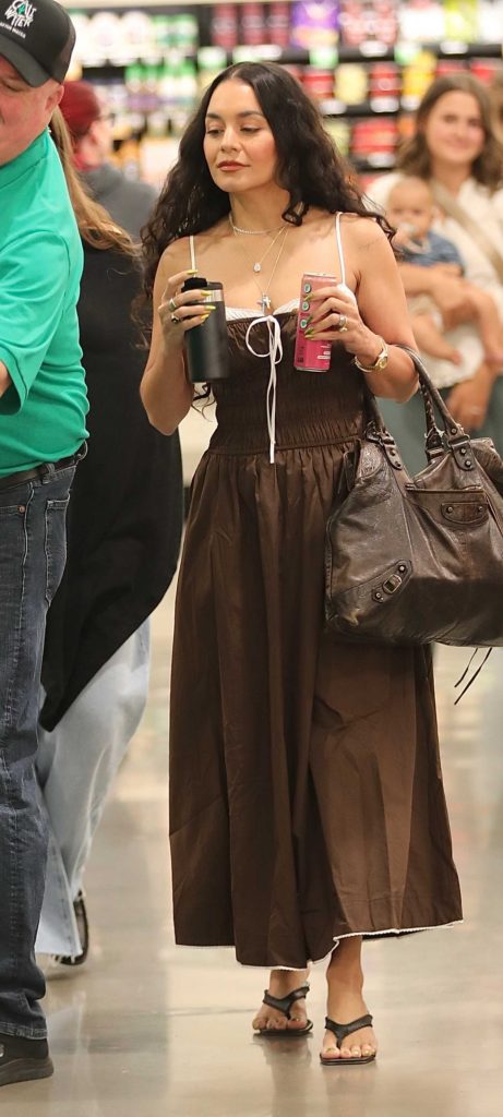 Vanessa Hudgens in a Brown Dress