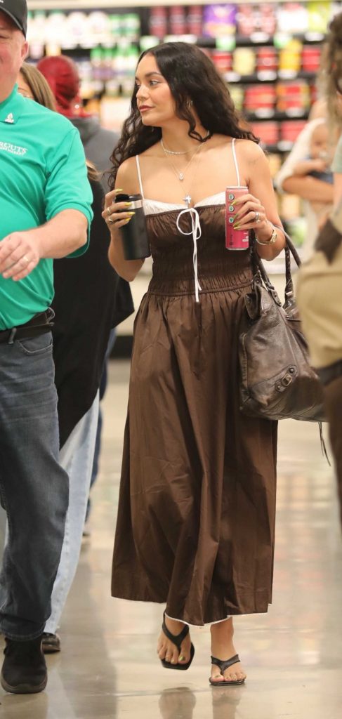 Vanessa Hudgens in a Brown Dress