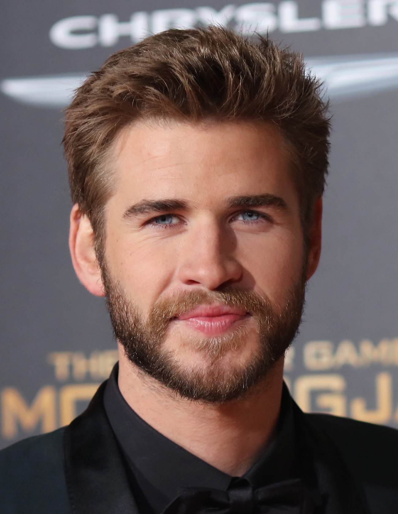 Liam Hemsworth and Luke Hemsworth Arrive at The Hunger Games: MockingJay Part LA Premiere