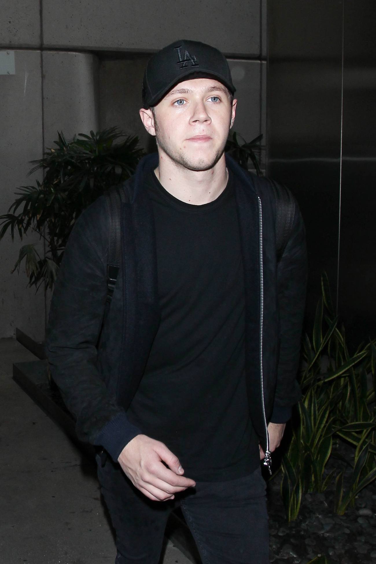 Niall Horan Arrives at LAX Airport